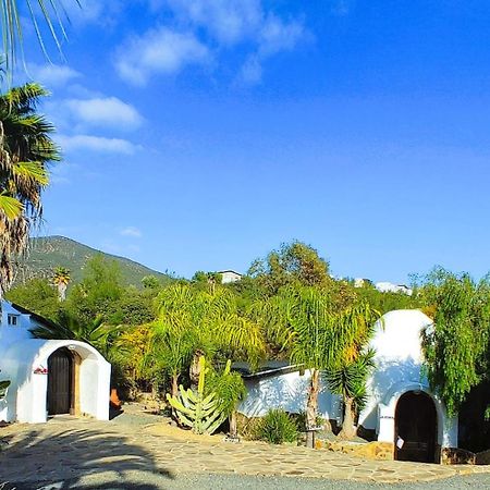 Hacienda Eco-Domes Villa Valle de Guadalupe Ngoại thất bức ảnh