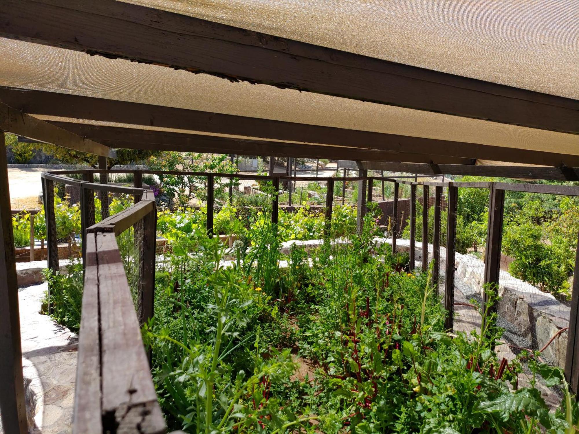 Hacienda Eco-Domes Villa Valle de Guadalupe Ngoại thất bức ảnh