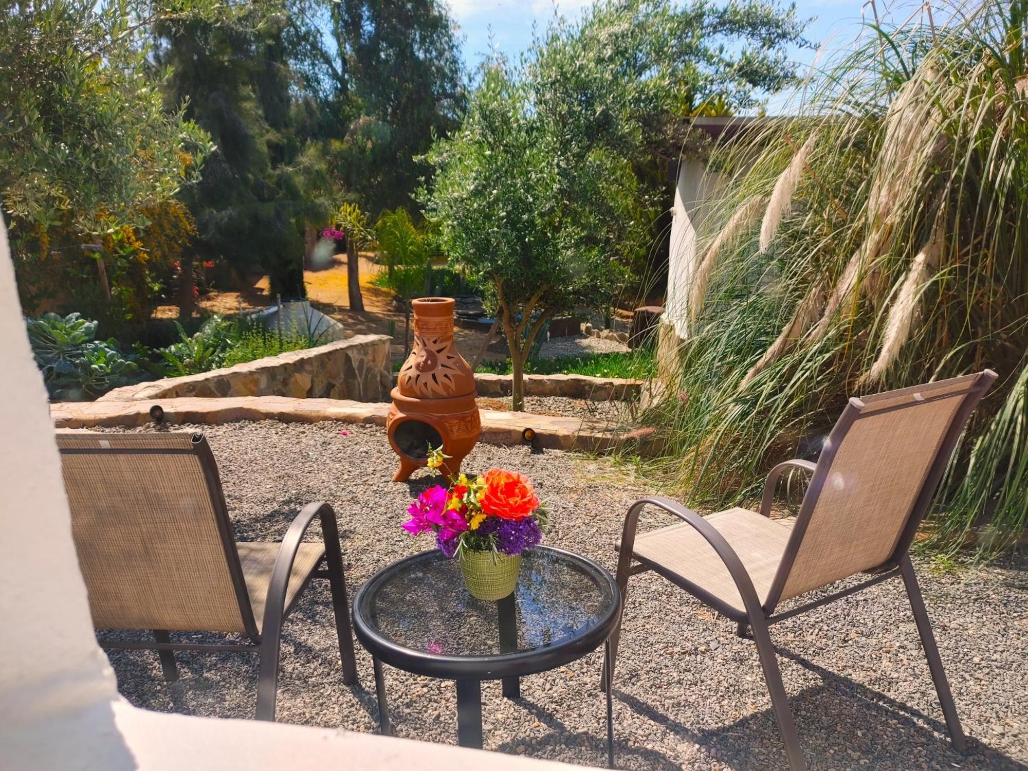 Hacienda Eco-Domes Villa Valle de Guadalupe Ngoại thất bức ảnh