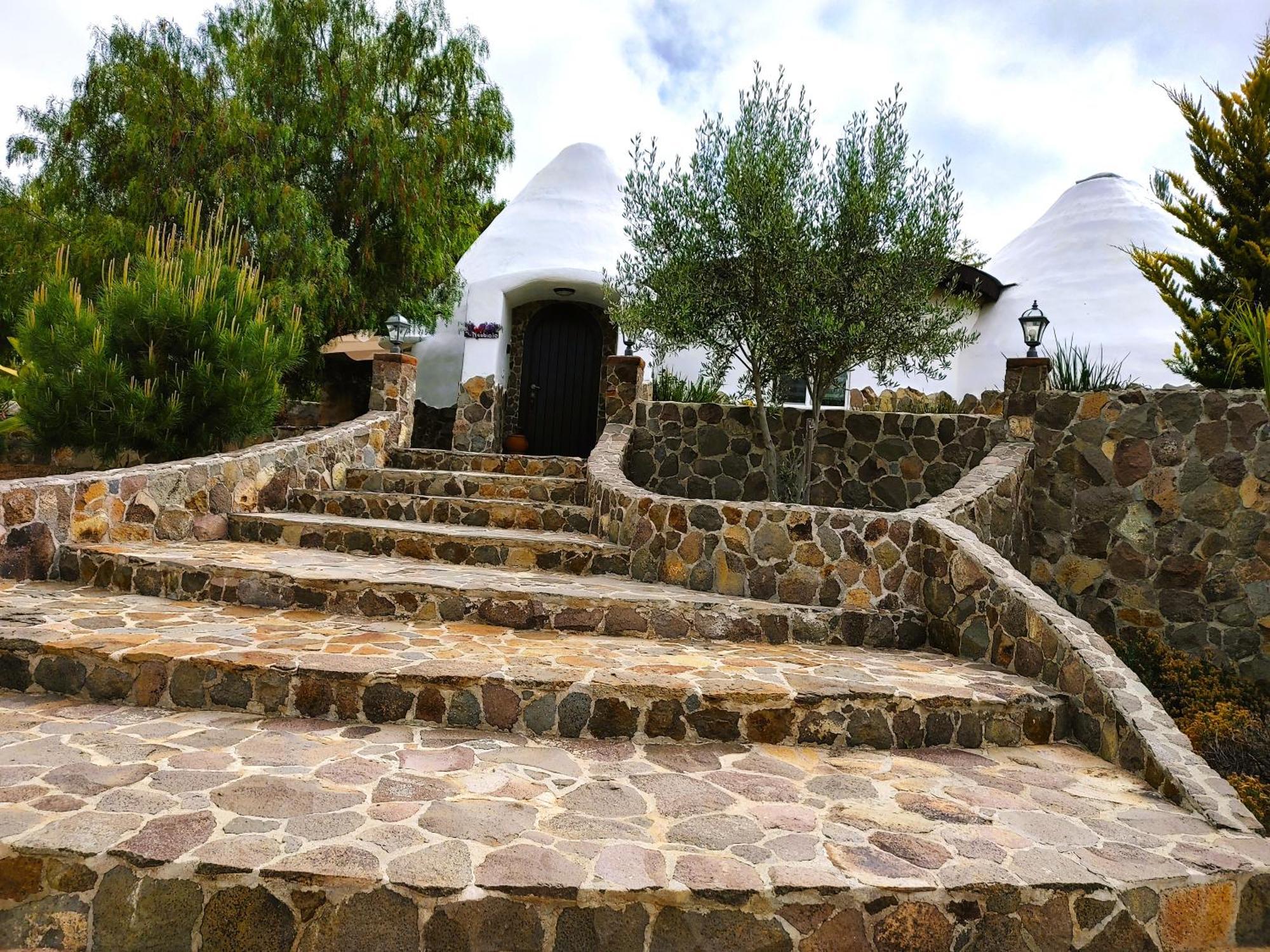 Hacienda Eco-Domes Villa Valle de Guadalupe Ngoại thất bức ảnh